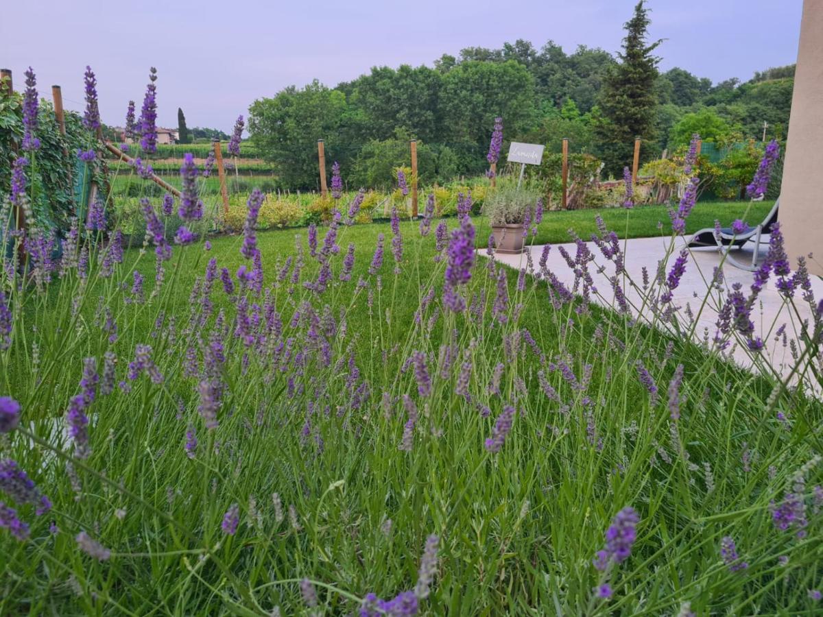 Residence Le Aromatiche Cavaion Veronese Bagian luar foto