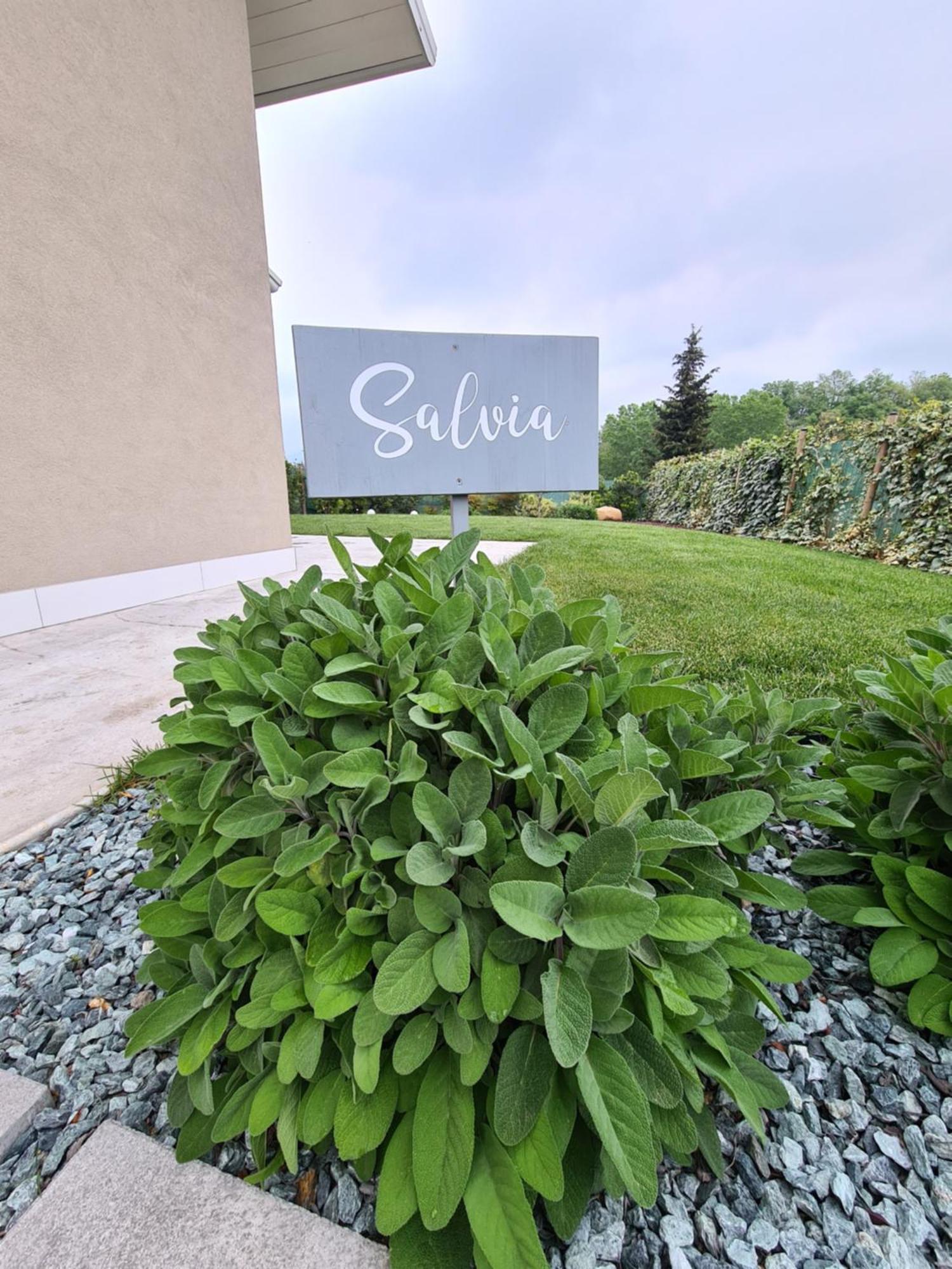 Residence Le Aromatiche Cavaion Veronese Ruang foto